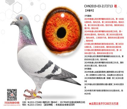 2父亲-2172713