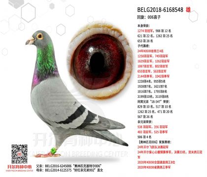 2父亲-6168548