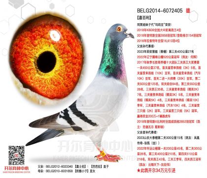3外祖父-6072405