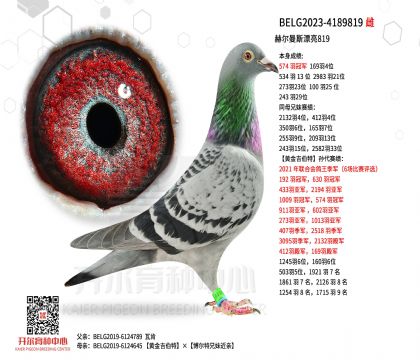 3母亲BELG2023-4189819