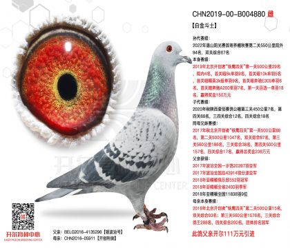 3母亲-B004880