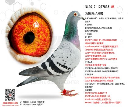3母亲-1277833
