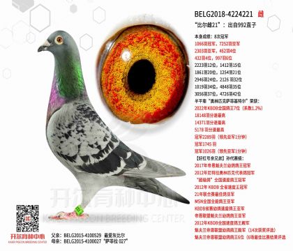 3母亲-4224221
