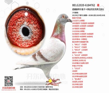 3父亲BELG2020-6184762