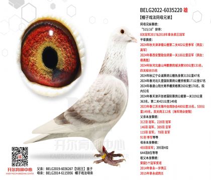 3父亲BELG2022-6035220