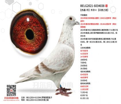 3父亲BELG2021-6034038