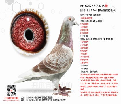3父亲BELG2022-6035218