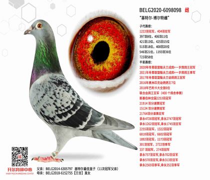 4母亲BELG2020-6098098