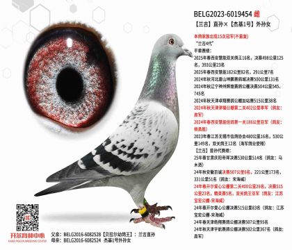 4母亲BELG2023-6019454