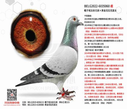 4母亲BELG2022-6035060
