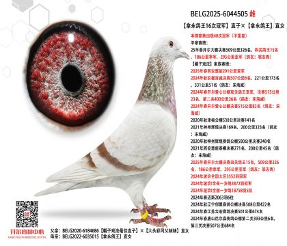 4母亲BELG2025-6044505