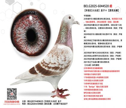4母亲BELG2025-6044520