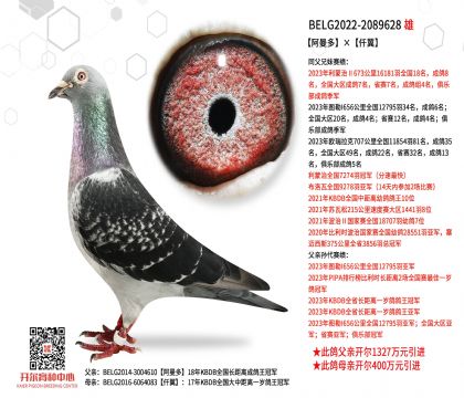 4父亲-2089628