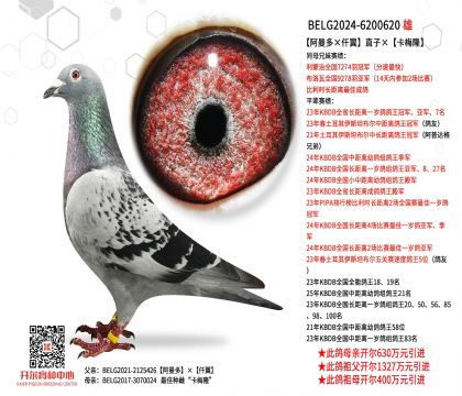 4父亲-6200620