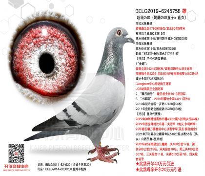 4父亲-6245758