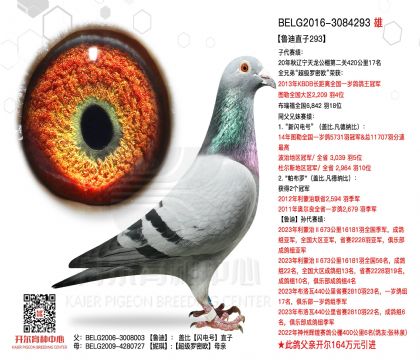 4父亲-3084293