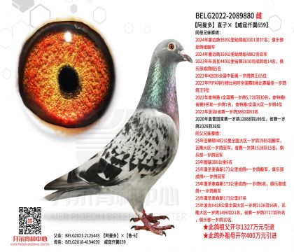 5母亲-2089880