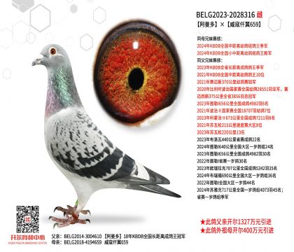 5母亲-2028316