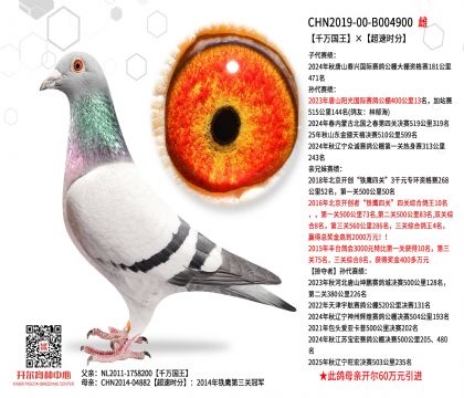 5母亲-B004900