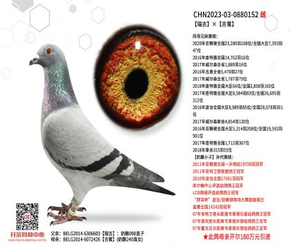 5母亲-0880152