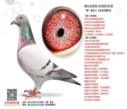 5母亲-6108318
