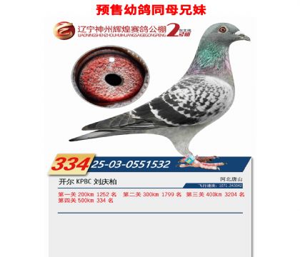 5-同母兄妹0551532