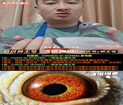 《超级狮王号》特优号x狮王号