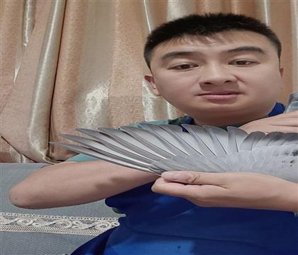 翅膀