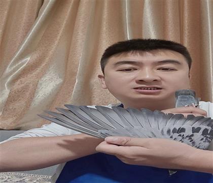 翅膀