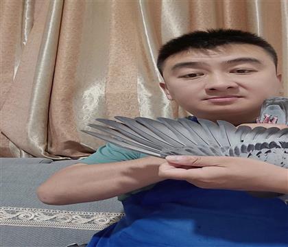 翅膀
