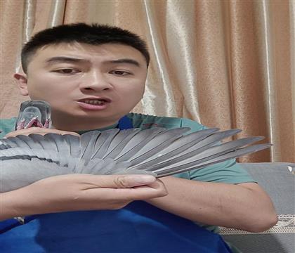 翅膀