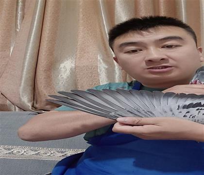 翅膀