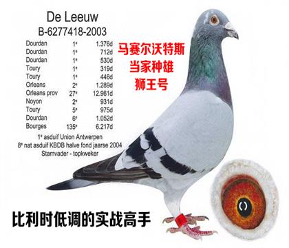 狮王号