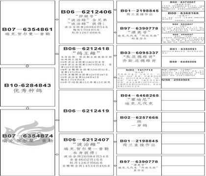 爷爷血统书
