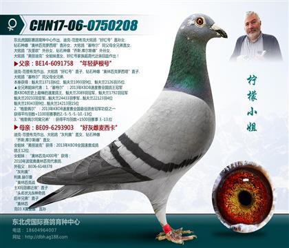母亲