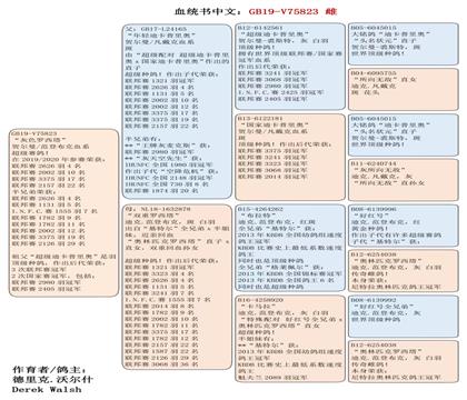 母亲血统书中文版