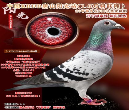 中国KBDB-七次500公里完翔