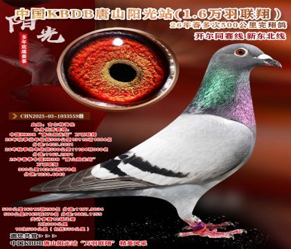 海伦-中国KBDB-十次500公里完翔