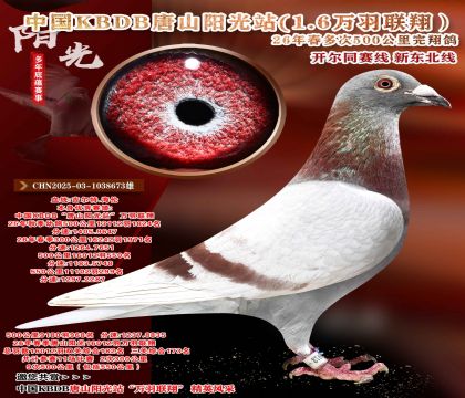 吉尔特海伦-中国KBDB-九次500公里完翔