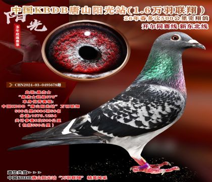 极力推荐-中国KBDB-56名-六次500公里完翔