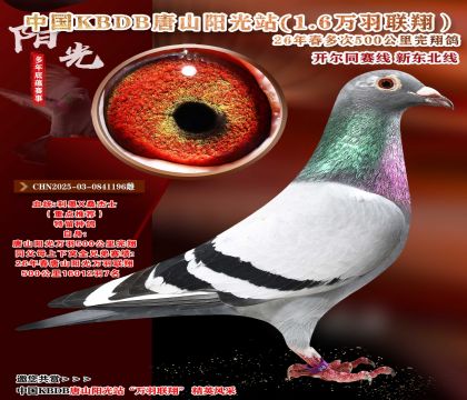 500公里16012羽7名全平辈中国KBDB-500公里完翔