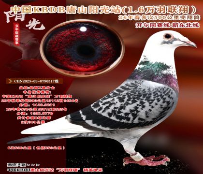 中国KBDB多次500公里完翔-16012羽325名