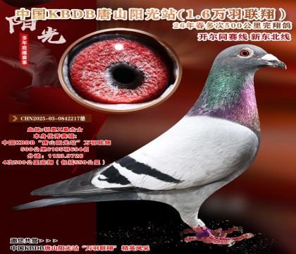 中国KBDB多次500公里完翔