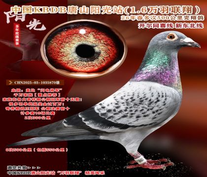 重点推荐-盖比千万家族-中国KBDB多次500公里完翔