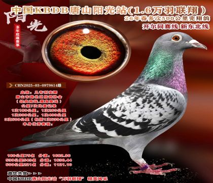 魔鬼赛线经典南线多次完翔!云贵川专线!重点推荐!