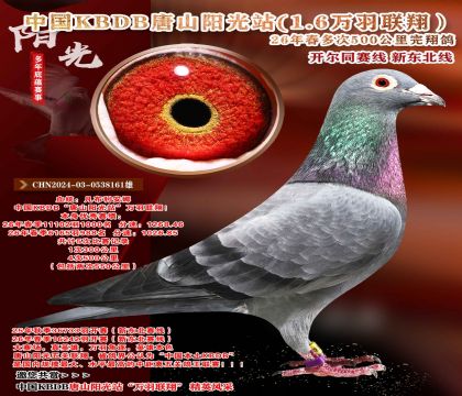 凡布利安娜-中国KBDB多次500公里完翔