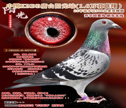 中国KBDB-六次500公里完翔
