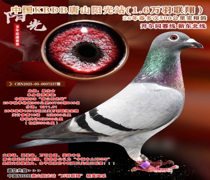 36733羽840名-中国KBDB-八次500公里完翔