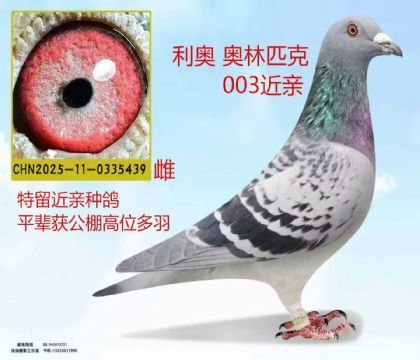 利奥奥林匹克003近亲