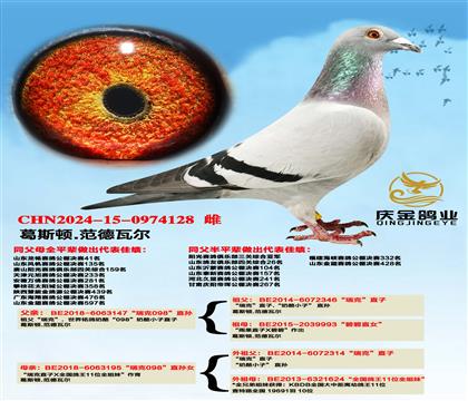 葛斯顿.范德瓦尔“瑞克098”直孙x“瑞克0988”直孙女